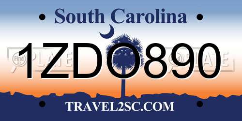 1ZDO890 South Carolina License Plate