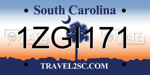 1ZGI171 South Carolina License Plate