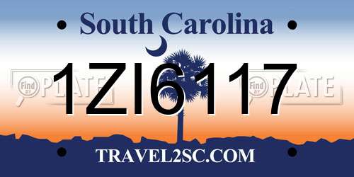 1ZI6117 South Carolina License Plate