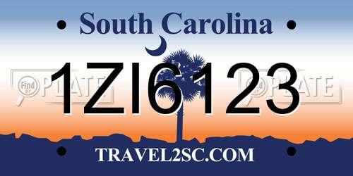 1ZI6123 South Carolina License Plate