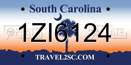 1ZI6124 South Carolina License Plate