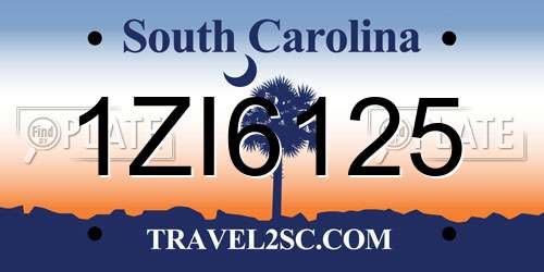 1ZI6125 South Carolina License Plate
