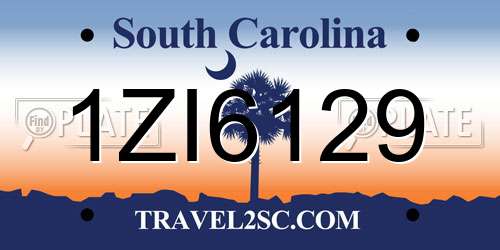1ZI6129 South Carolina License Plate