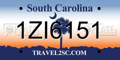 1ZI6151 South Carolina License Plate