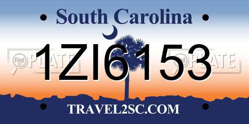 1ZI6153 South Carolina License Plate
