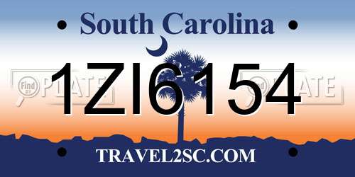1ZI6154 South Carolina License Plate
