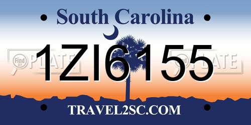 1ZI6155 South Carolina License Plate