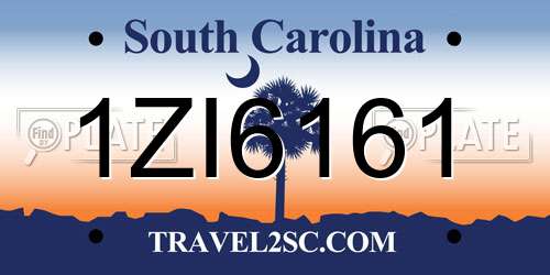1ZI6161 South Carolina License Plate