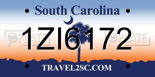 1ZI6172 South Carolina License Plate