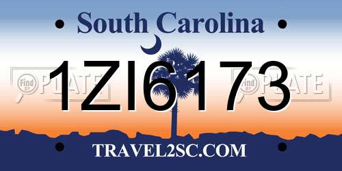 1ZI6173 South Carolina License Plate