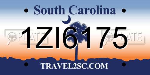 1ZI6175 South Carolina License Plate