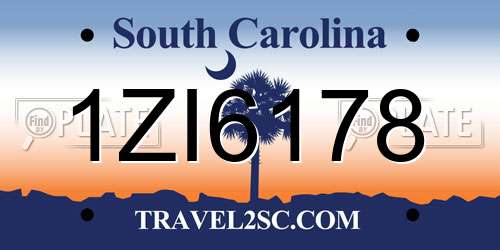 1ZI6178 South Carolina License Plate