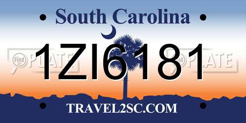 1ZI6181 South Carolina License Plate