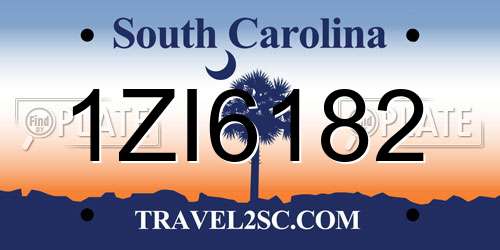 1ZI6182 South Carolina License Plate