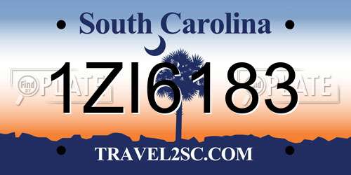 1ZI6183 South Carolina License Plate