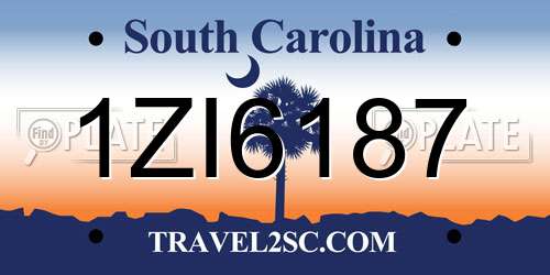 1ZI6187 South Carolina License Plate