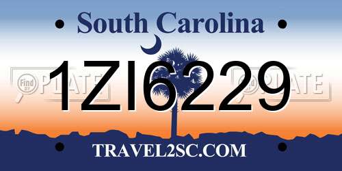 1ZI6229 South Carolina License Plate