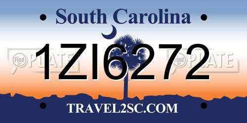 1ZI6272 South Carolina License Plate