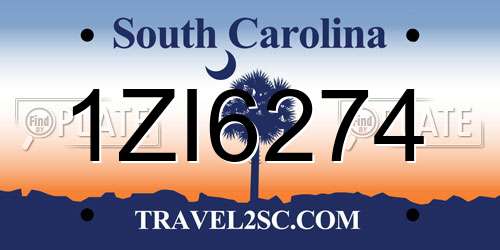 1ZI6274 South Carolina License Plate