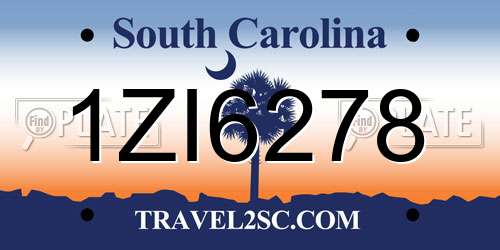 1ZI6278 South Carolina License Plate