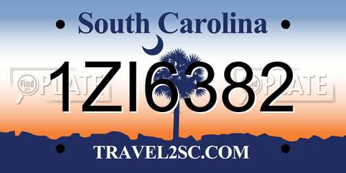 1ZI6382 South Carolina License Plate