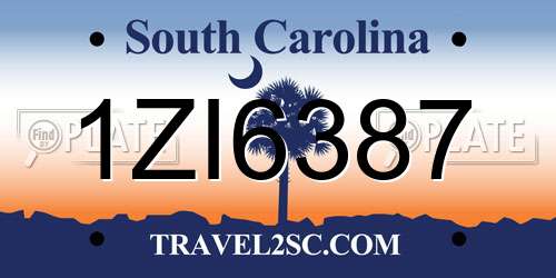 1ZI6387 South Carolina License Plate
