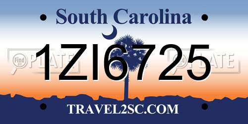 1ZI6725 South Carolina License Plate