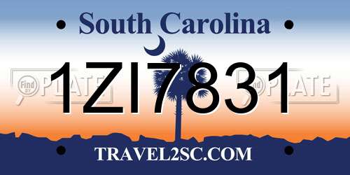 1ZI7831 South Carolina License Plate