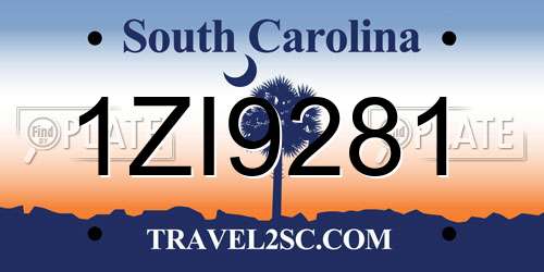 1ZI9281 South Carolina License Plate