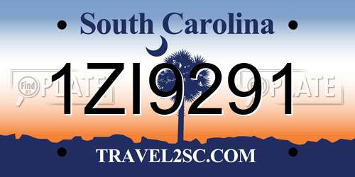 1ZI9291 South Carolina License Plate