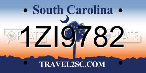 1ZI9782 South Carolina License Plate