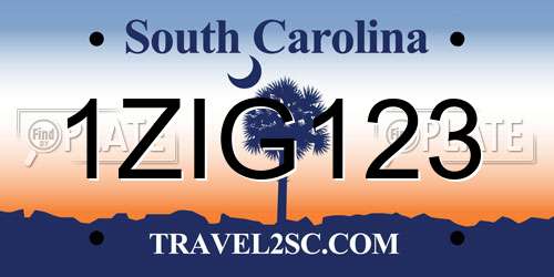 1ZIG123 South Carolina License Plate