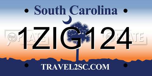 1ZIG124 South Carolina License Plate