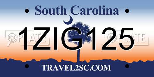 1ZIG125 South Carolina License Plate