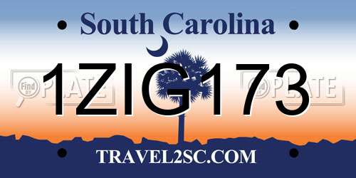 1ZIG173 South Carolina License Plate