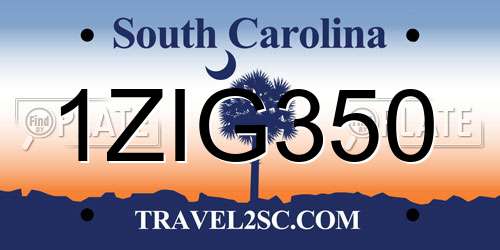 1ZIG350 South Carolina License Plate