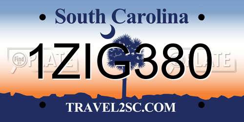 1ZIG380 South Carolina License Plate