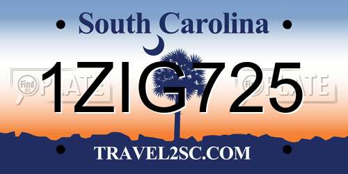 1ZIG725 South Carolina License Plate