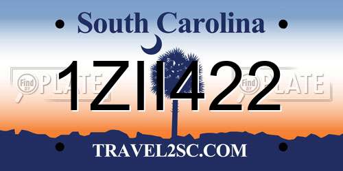 1ZII422 South Carolina License Plate