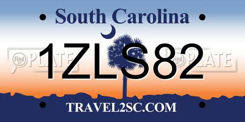 1ZLS82 South Carolina License Plate