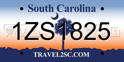 1ZS1825 South Carolina License Plate