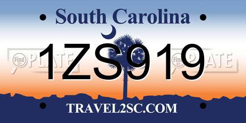 1ZS919 South Carolina License Plate