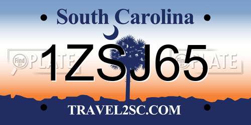 1ZSJ65 South Carolina License Plate
