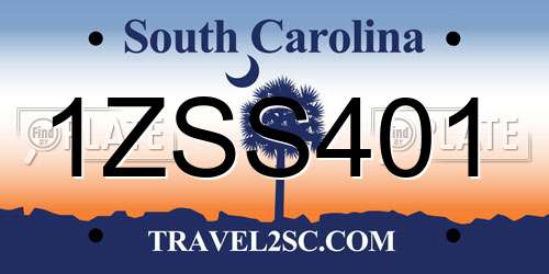 1ZSS401 South Carolina License Plate