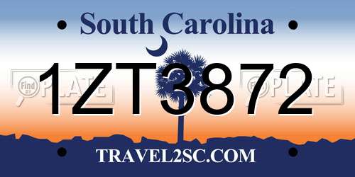 1ZT3872 South Carolina License Plate