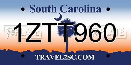 1ZTT960 South Carolina License Plate