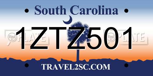 1ZTZ501 South Carolina License Plate