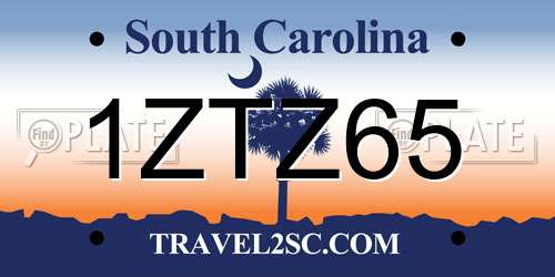 1ZTZ65 South Carolina License Plate