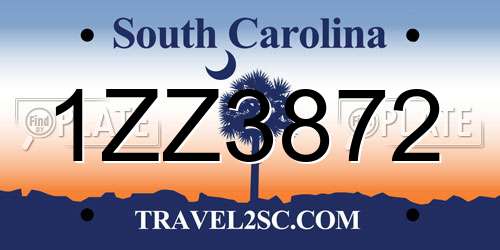 1ZZ3872 South Carolina License Plate