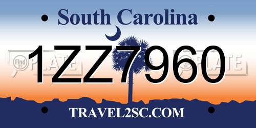 1ZZ7960 South Carolina License Plate